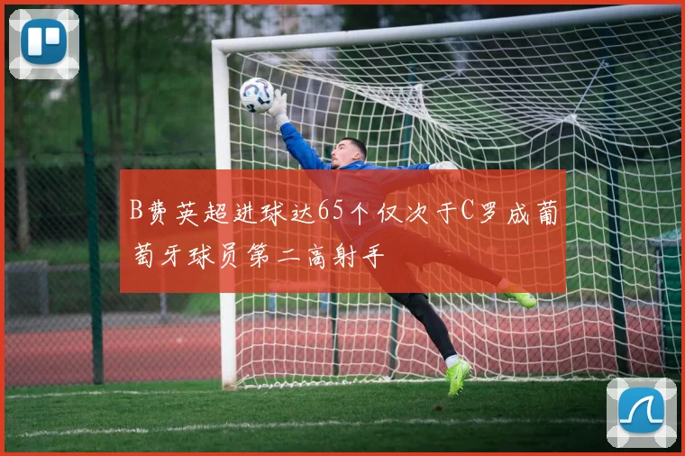 B费英超进球达65个仅次于C罗成葡萄牙球员第二高射手